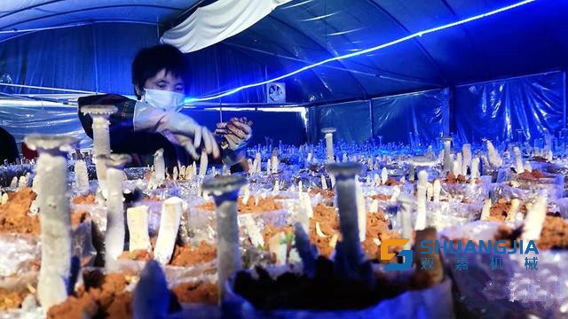 1649988556283241.jpg 14-10-57-52-283825.jpg