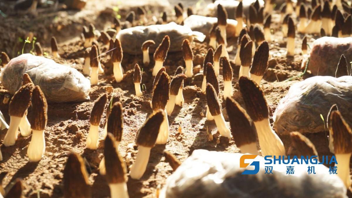 1650083216686910.jpg 14-58-12-99-283825.jpg