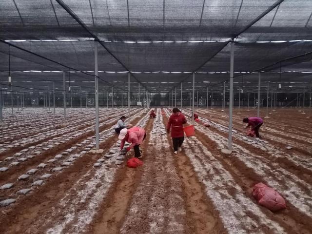 1650504737156658.jpeg 22-56-15-36-283825.jpeg