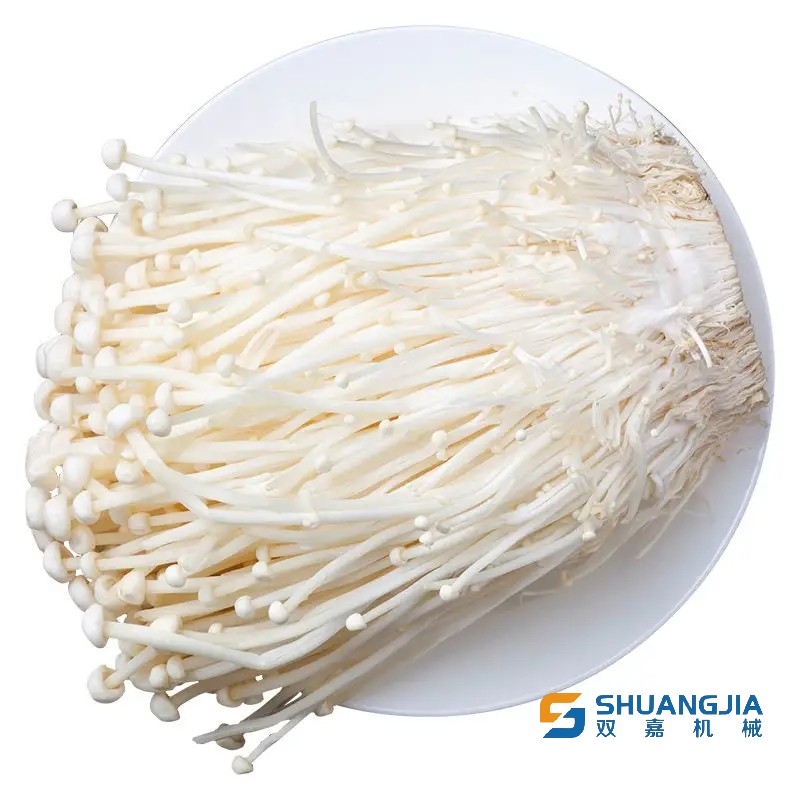 1651109453189416.jpg 10-18-00-80-283825.jpg