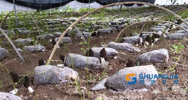 1651802261956174.jpg 12-02-06-37-283825.jpg