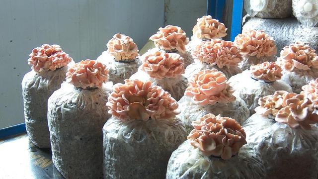 1652321340141481.jpeg 16-51-37-79-283825.jpeg