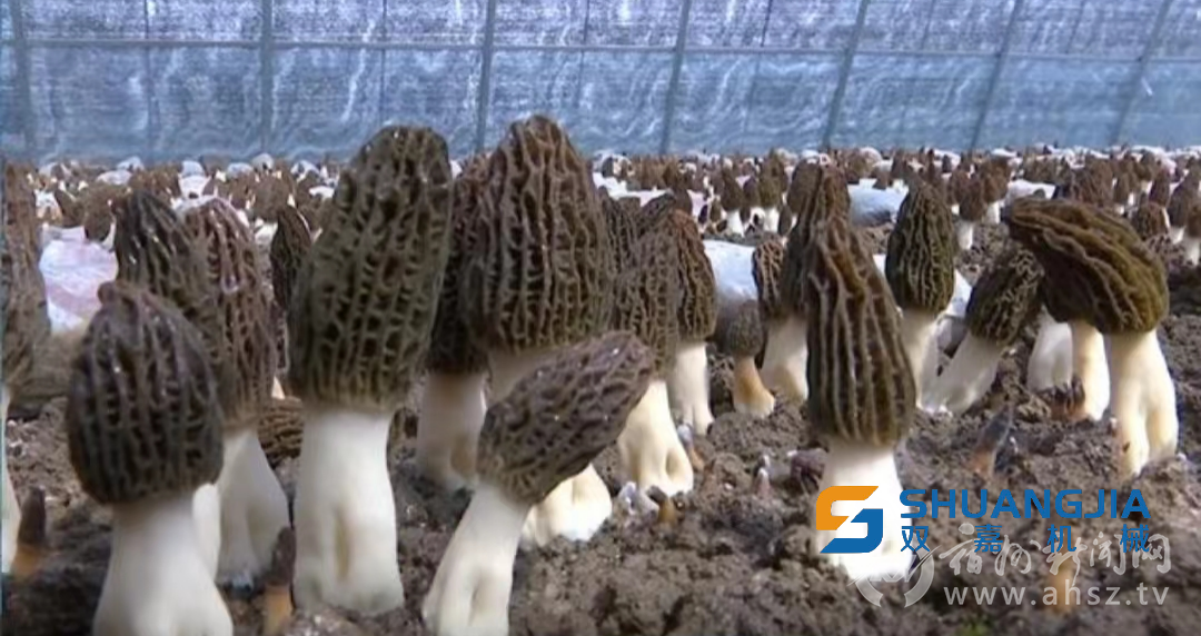 1653292876139054.png 10-50-29-73-283825.png