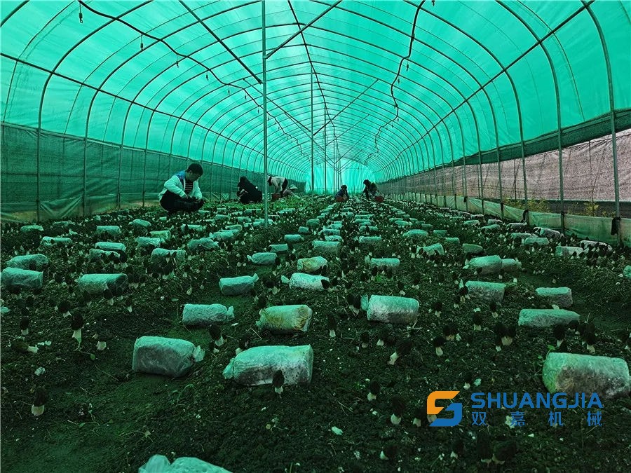 1654830076669185.jpg 13-55-18-77-283825.jpg