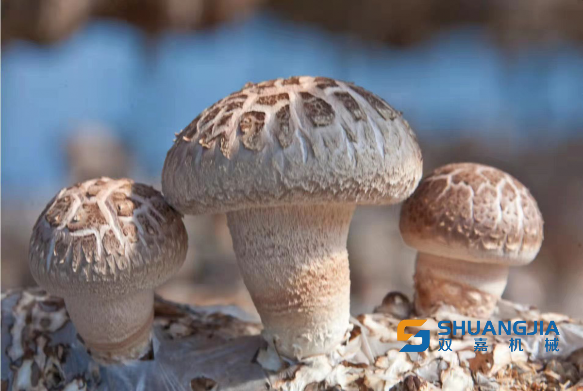 1655083492254576.png 12-12-48-46-283825.png