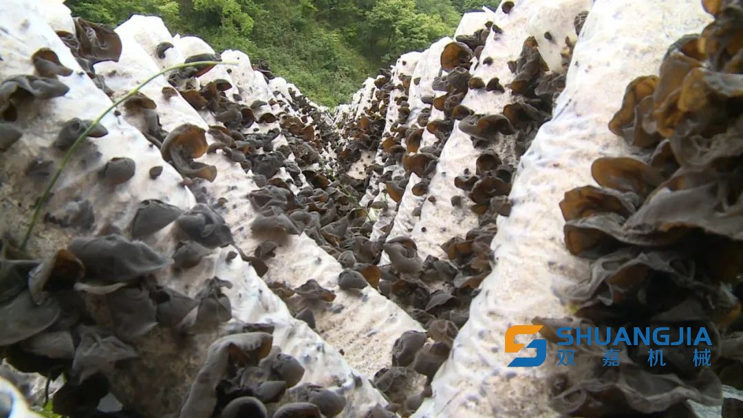 1655171858103088.jpg 16-00-09-17-283825.jpg