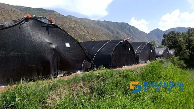 1655258150148522.jpg 16-26-33-92-283825.jpg