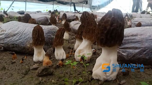 1655258179290936.jpg 16-27-08-43-283825.jpg