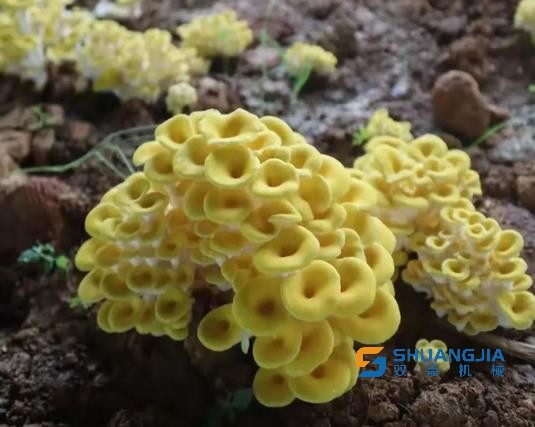 1655800907176936.jpg 13-56-31-79-283825.jpg