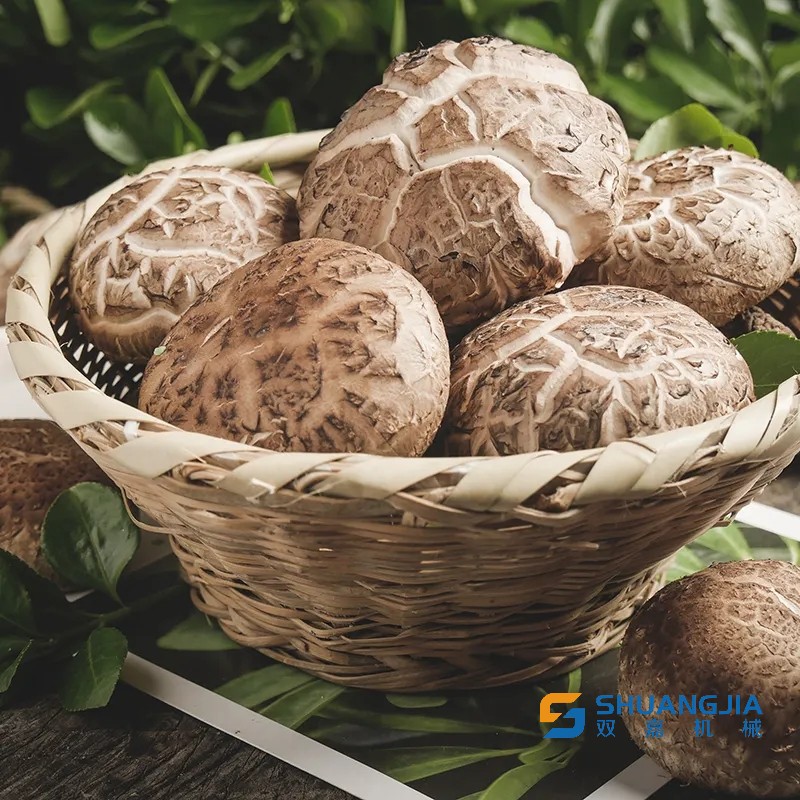 1655945518899020.jpg 14-38-07-67-283825.jpg