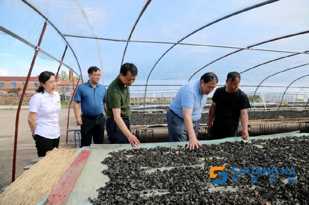 1657249296200086.jpg 09-00-52-85-283825.jpg