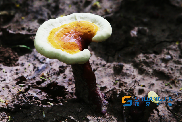 1658627600858540.png 11-03-16-23-283825.png