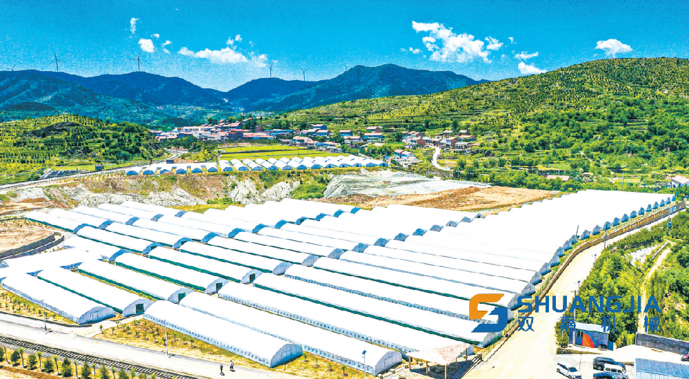 1659922126203882.png 11-00-10-17-283825.png