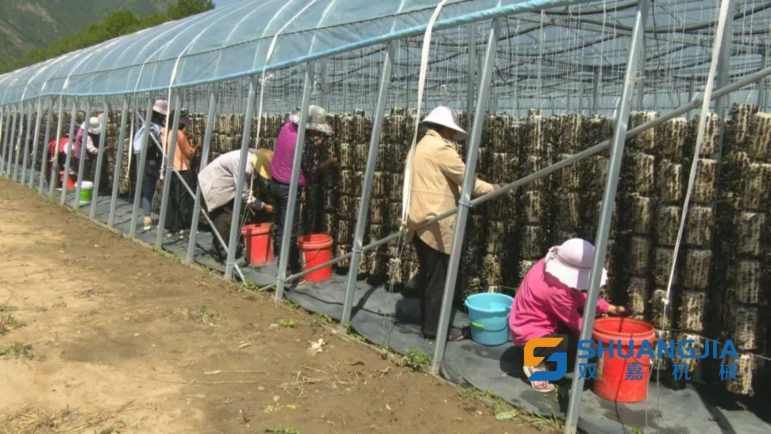 1660529041103228.jpg 09-48-07-31-283825.jpg