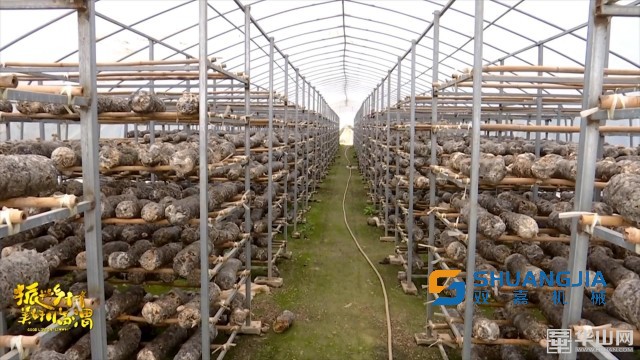 1660792339837281.jpg 09-02-30-78-283825.jpg